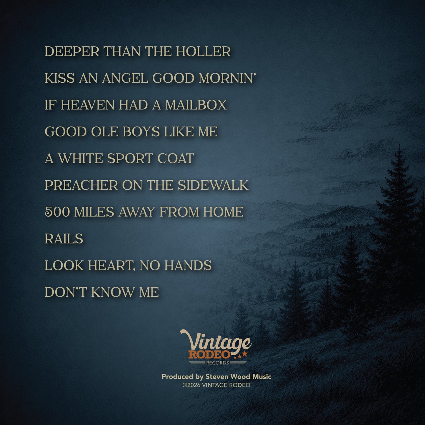 NEW! Country And Gospel Album: Volume 2